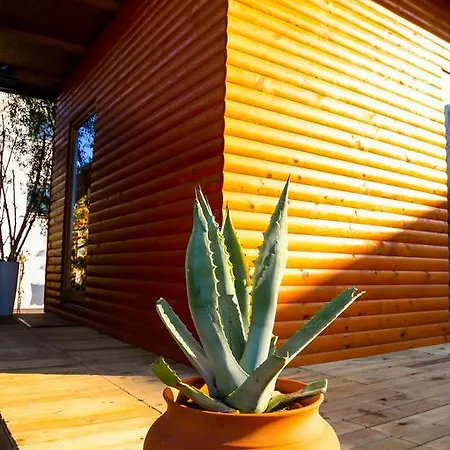 Tatil Evi Pri Kamnu